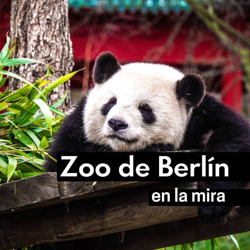 Critican al Zoológico de Berlín por datos&nbsp;biométricos